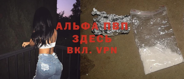 шишки Михайловск