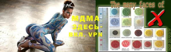 шишки Михайловск