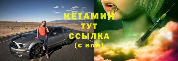 шишки Михайловск