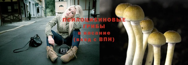 шишки Михайловск
