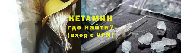 шишки Михайловск