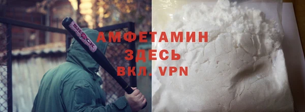 шишки Михайловск