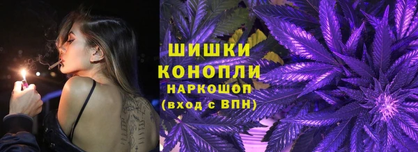 шишки Михайловск